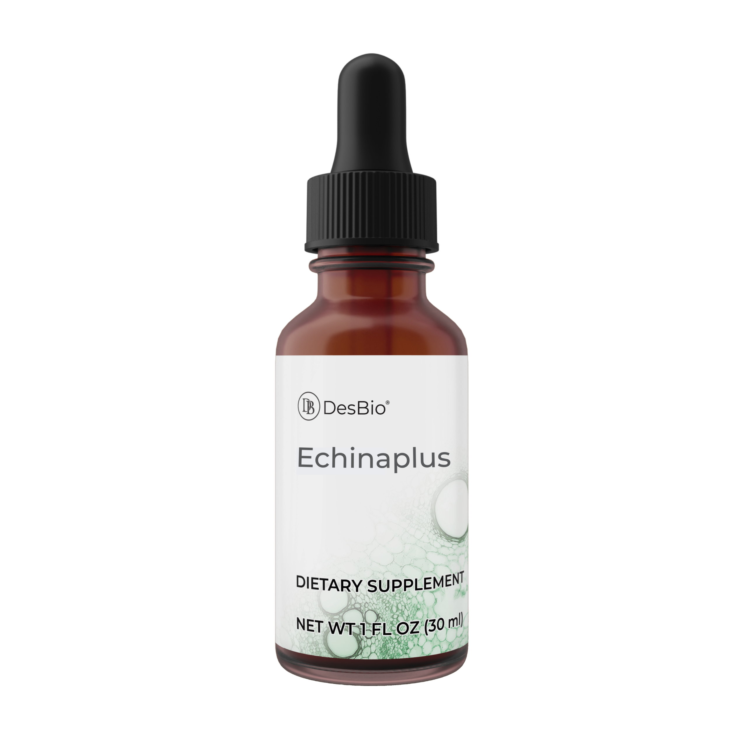 Echinaplus