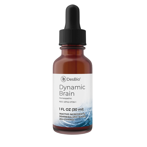 Dynamic Brain
