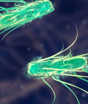 Colibacillinum cum natrum muriaticum