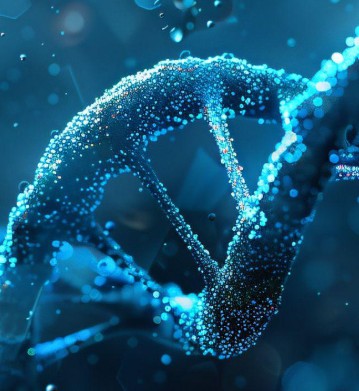 Desoxy ribonucleicum acidum SNP GLP-1