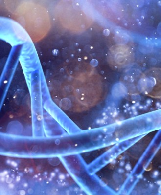 Desoxy ribonucleicum acidum SNP Hungry Gene