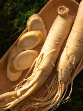 Ginseng