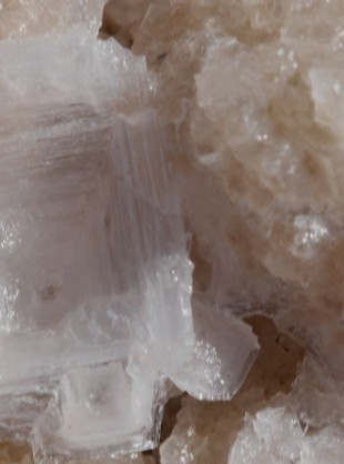 Magnesium carbonicum