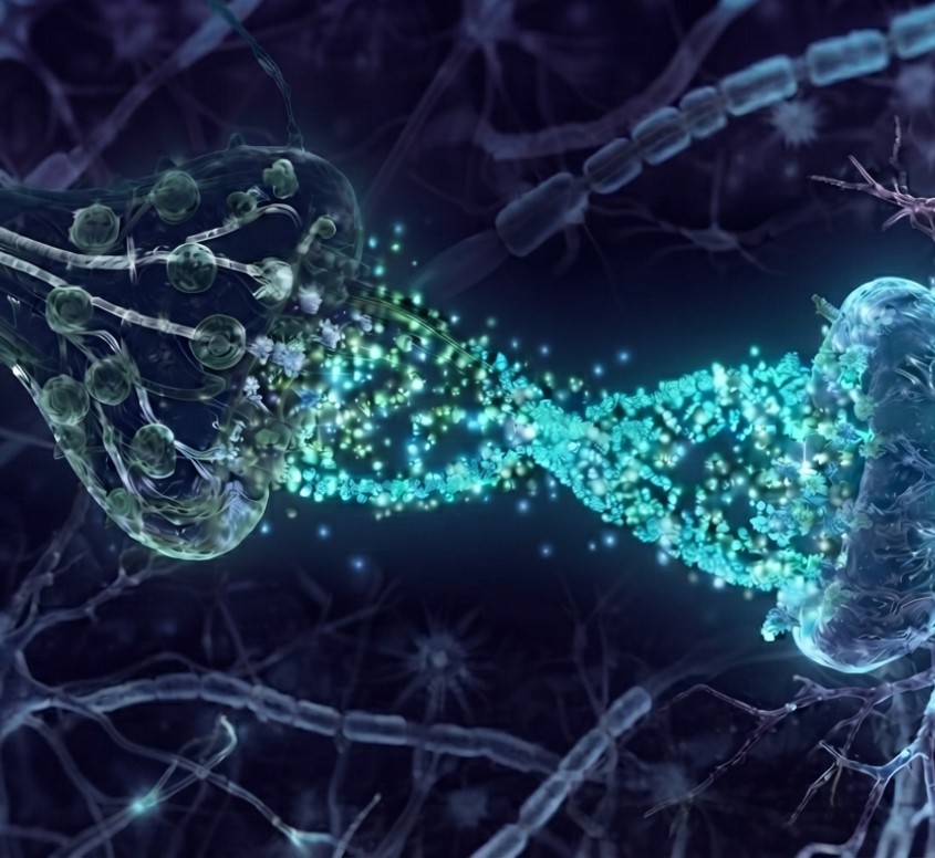 Mitochondrial health illustration